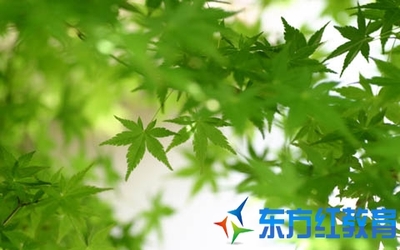 描写仲春的句子