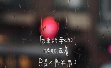 暴雨的句子