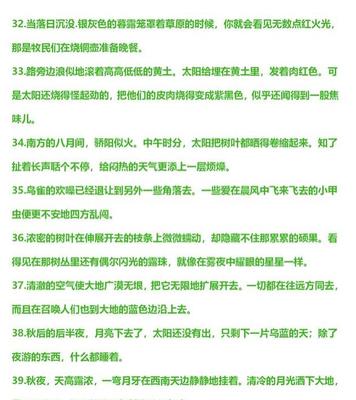环境描写的好词