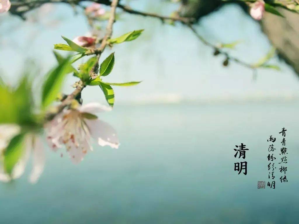 景色好的句子