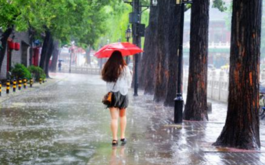 暴雨的句子