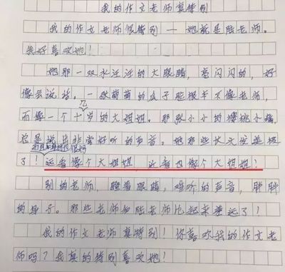 作文他笑了400字