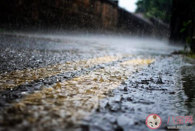 暴雨的句子