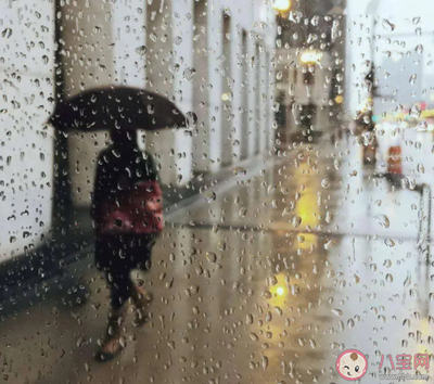 暴雨的句子