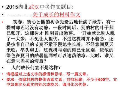 武汉中考作文题目