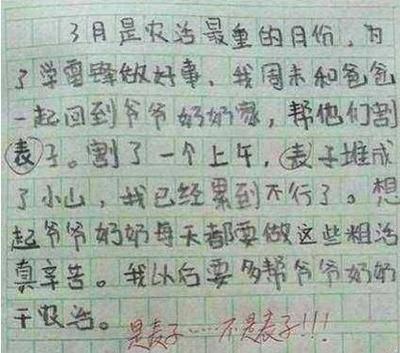 作文他笑了400字