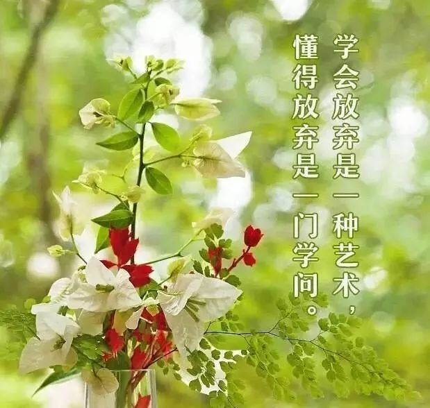 景色好的句子