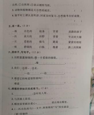 可以造句子二年级