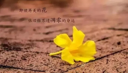 景色好的句子