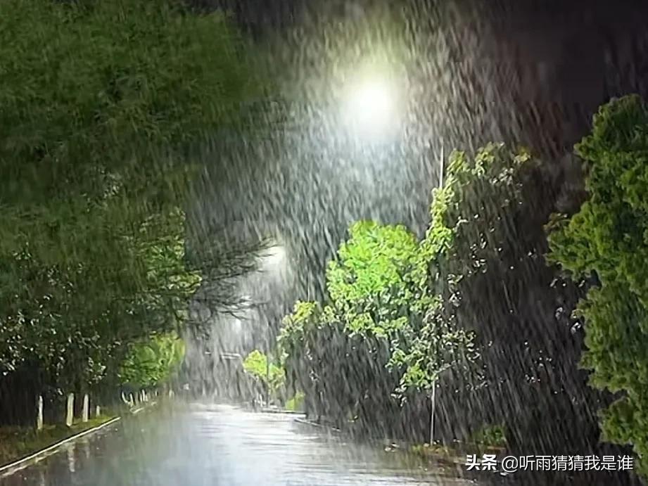 暴雨的句子