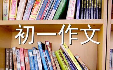 窗外的夜景作文