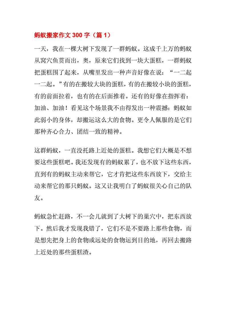 写蚂蚁的作文300字