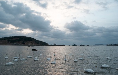 描写大海的景色