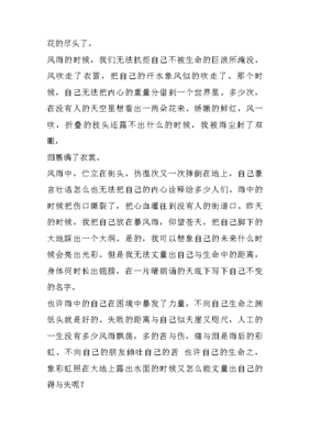 描写风雨的作文