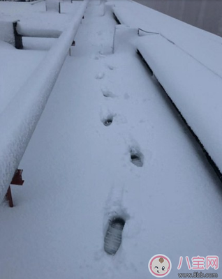 打雪仗的句子