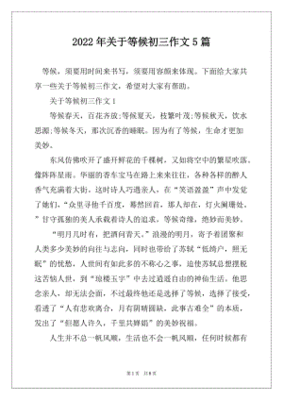 关于等待的作文