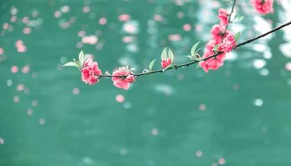 描写春天的水