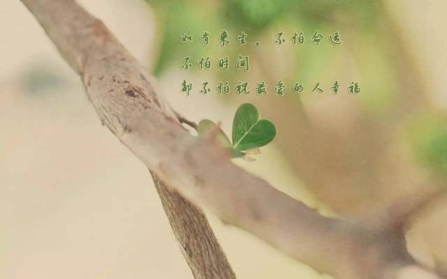 没人心疼的句子