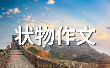 窗外的夜景作文