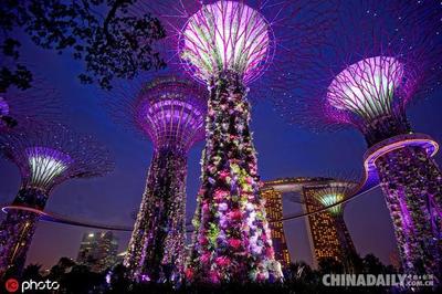窗外的夜景作文