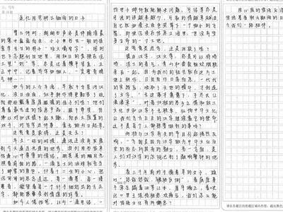 以年为主题的作文