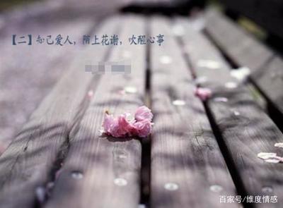 没人心疼的句子