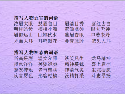 人物描写的词语