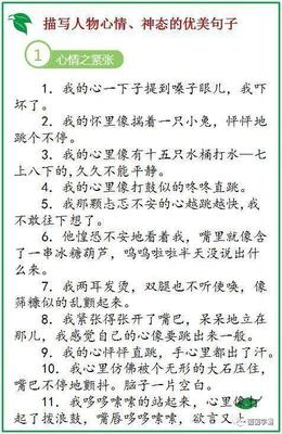 人物描写的词语