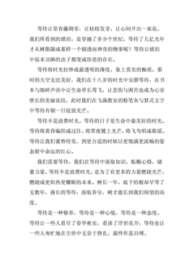 关于等待的作文
