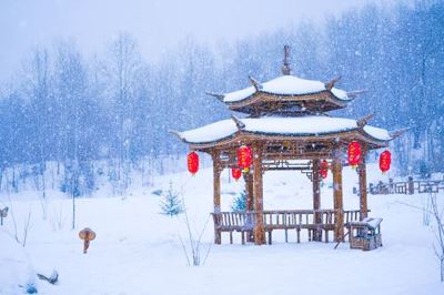 打雪仗的句子