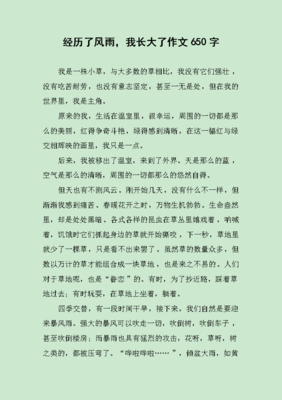 描写风雨的作文