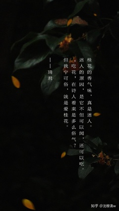 描写桂花的散文
