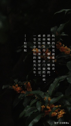 描写桂花的散文