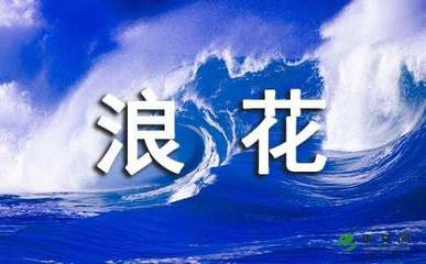 生活中的一朵小浪花作文
