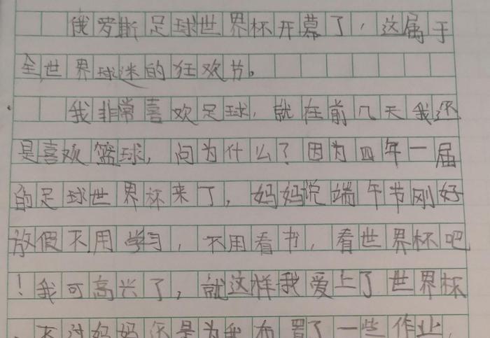 我看 作文