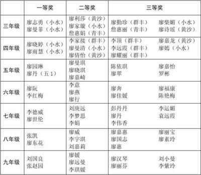 小学生书法比赛总结