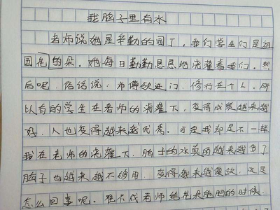 我看 作文