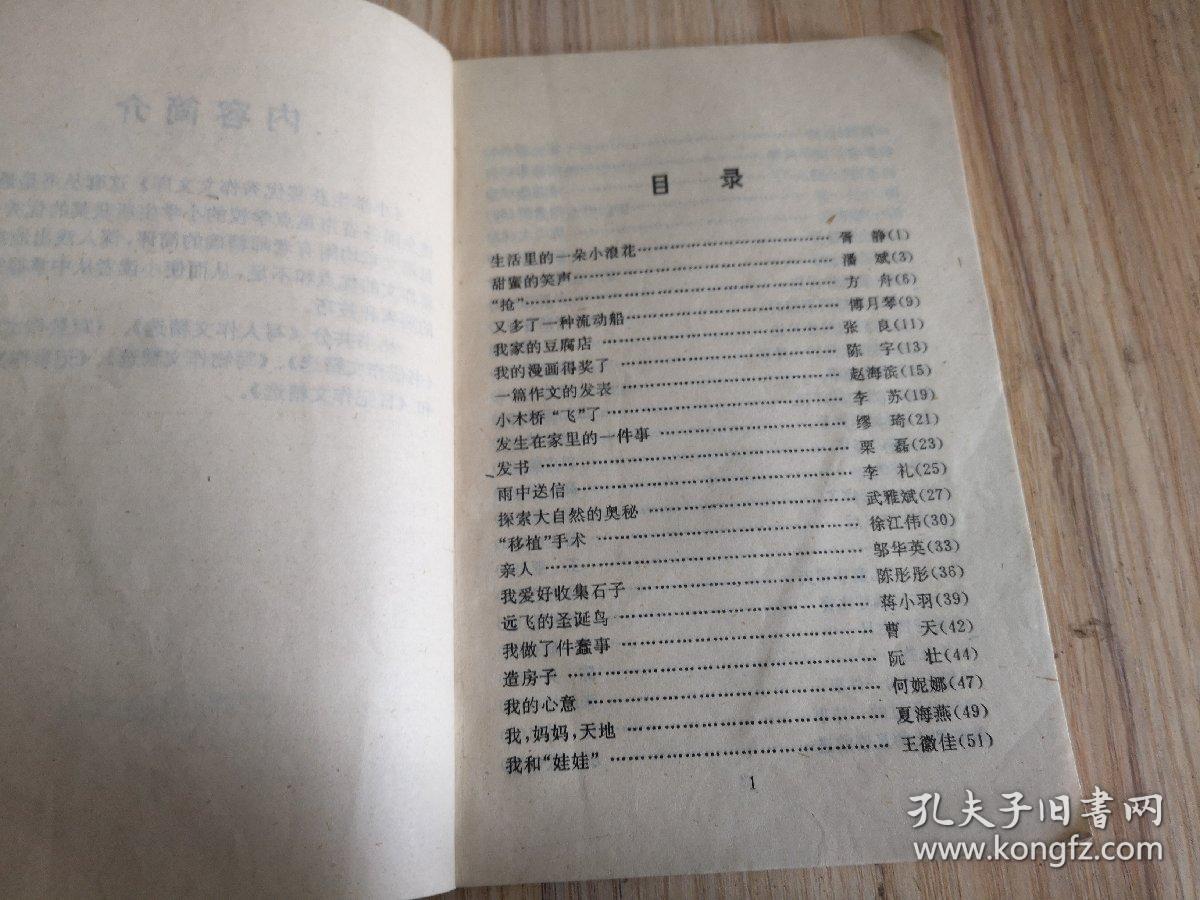 生活中的一朵小浪花作文