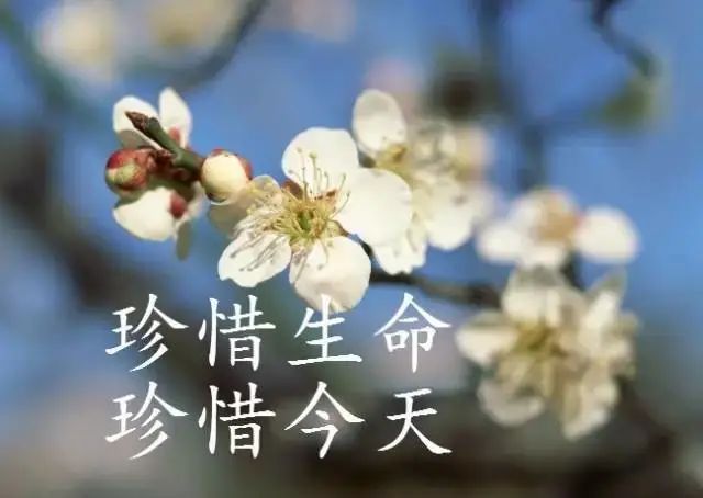 用心经营生活的句子