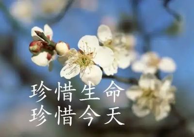 用心经营生活的句子