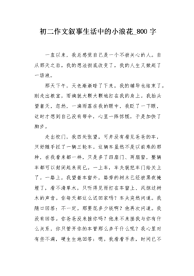 生活中的一朵小浪花作文