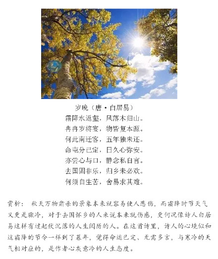 描写木的诗句
