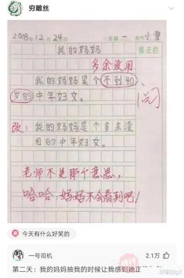 我看 作文