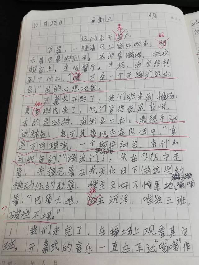 我看 作文