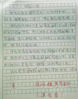我看 作文