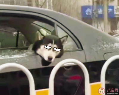 描写晕车的句子