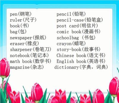 小学生英语单词怎么说