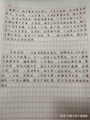 我看的作文