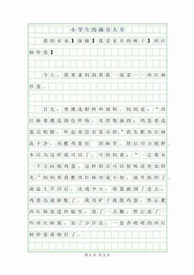 小学生满分作文大全