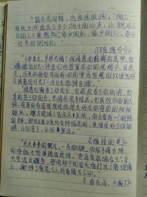 写名人的作文800字